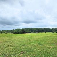 4125 Old Navasota Rd Brenham TX 77833 images 5