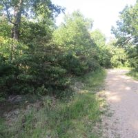 100 - Acres For Sale in Reynolds Co. images 2