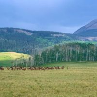 Yalgo Ranch images 2