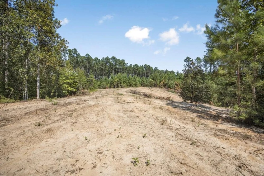 Small Hunting Property Near Caston Creek WMA featured image