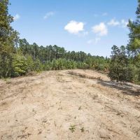 Small Hunting Property Near Caston Creek WMA