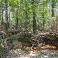 Small Hunting Property Near Caston Creek WMA images 2