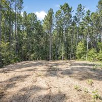Small Hunting Property Near Caston Creek WMA images 4