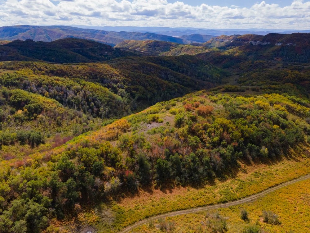 Doc Utterback Ranch featured image