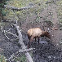 Doc Utterback Ranch images 2