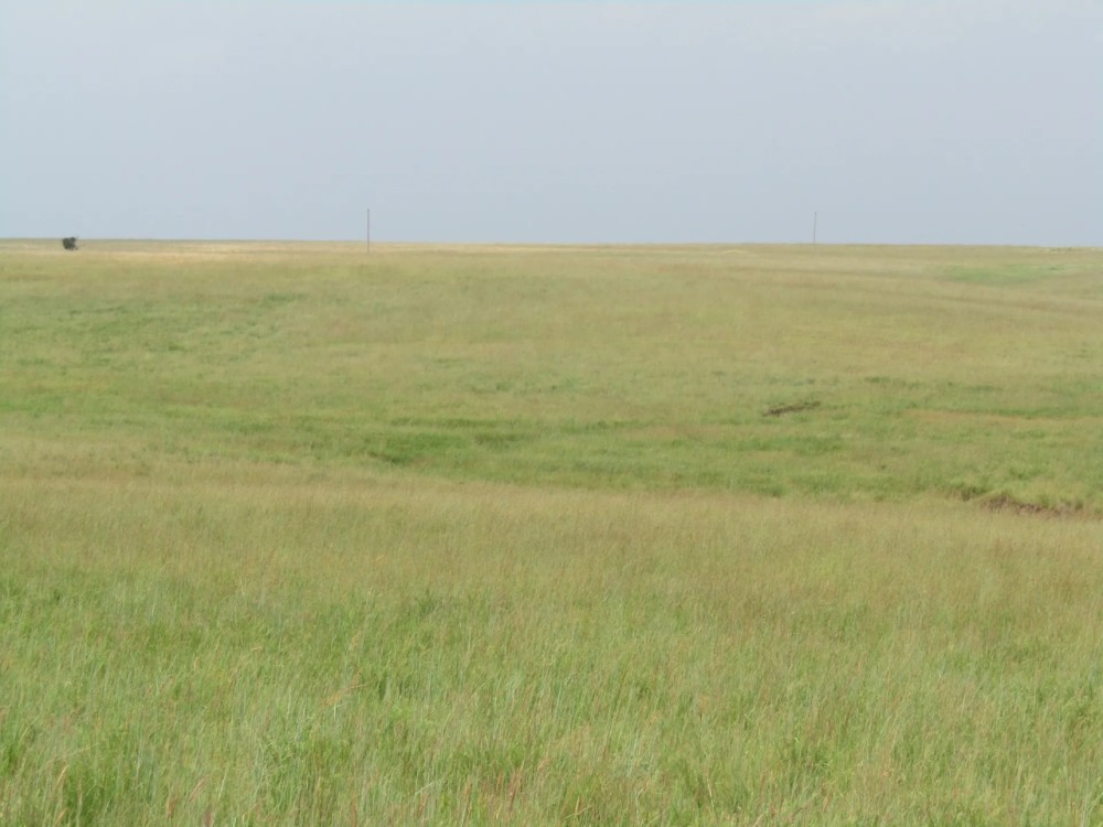 Bartlesville 160 Acres featured image