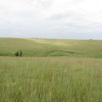 Bartlesville 160 Acres images 5