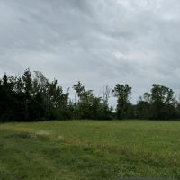 Image-2