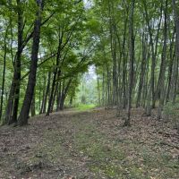 Image-3