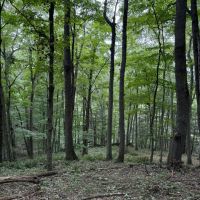95.5 Acres in Hunterdon Cty, NJ