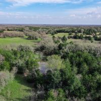 55.5 - Acres Limestone County TX images 3
