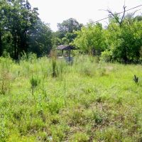 20 Acre Homesite with Shop Hunting images 2