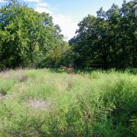 20 Acre Homesite with Shop Hunting images 4