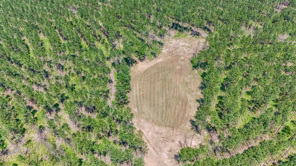 Turn Key Hunting Property in Amite County MS featured image