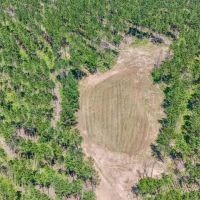 Turn Key Hunting Property in Amite County MS