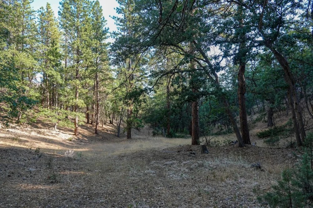 Ragland Gulch Acreage featured image