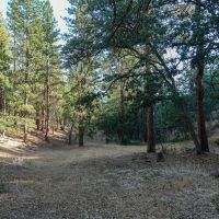 Ragland Gulch Acreage