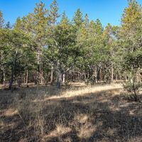 Ragland Gulch Acreage images 2
