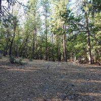 Ragland Gulch Acreage images 3