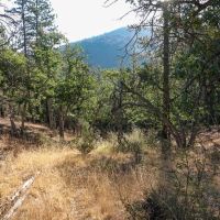 Ragland Gulch Acreage images 4