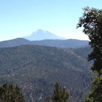 Ragland Gulch Acreage images 5