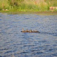 Yampa Headwaters Ranch images 2
