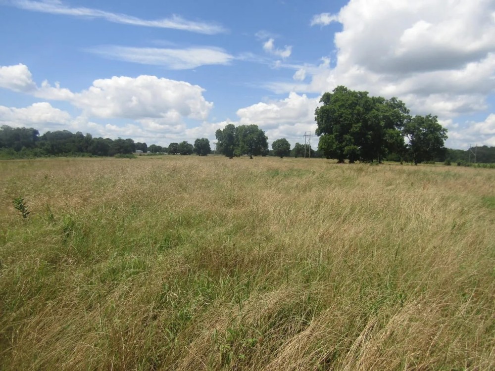 Recreational Hunting Property Sawyer Choctaw County OK 7.82 AC featured image