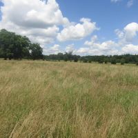 Recreational Hunting Property Sawyer Choctaw County OK 7.82 AC images 2