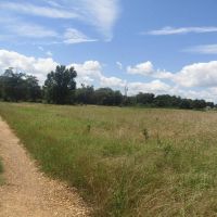 Recreational Hunting Property Sawyer Choctaw County OK 7.82 AC images 3