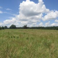 Recreational Hunting Property Sawyer Choctaw County OK 7.82 AC images 4