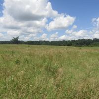 Recreational Hunting Property Sawyer Choctaw County OK 7.82 AC images 5