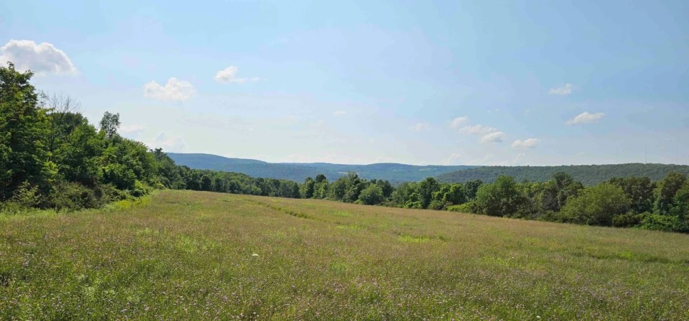 40 acres Farm Fields with Woods and Valley Views in Newfield NY Benjamin Hill Rd featured image