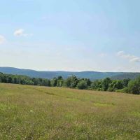 40 acres Farm Fields with Woods and Valley Views in Newfield NY Benjamin Hill Rd