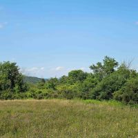 40 acres Farm Fields with Woods and Valley Views in Newfield NY Benjamin Hill Rd images 3