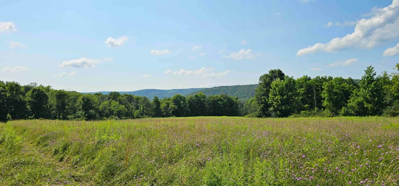 40 acres Farm Fields with Woods and Valley Views in Newfield NY