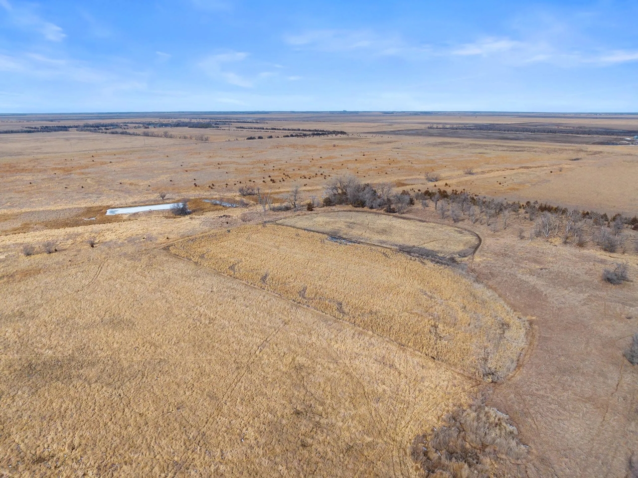 Spink County Rooster Rush Hunting Land for Sale