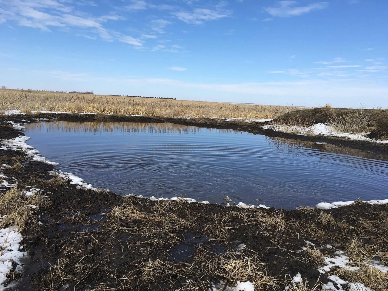 Spink County Rooster Rush Hunting Land for Sale