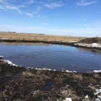 Spink County Rooster Rush images 4