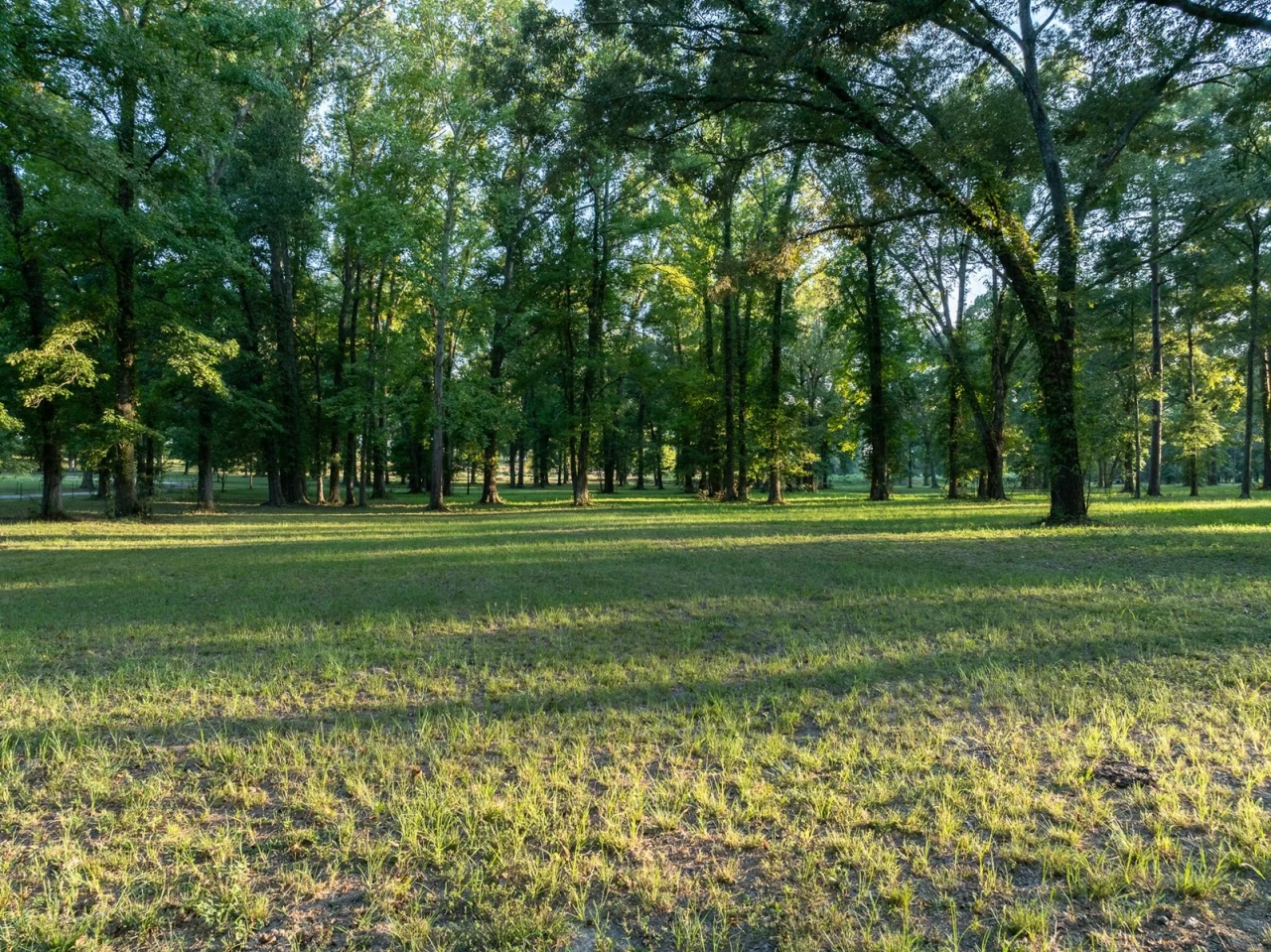 69Acre Ranch for Sale near Overton TX Hunting Land for Sale