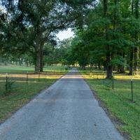 69-Acre Ranch for Sale near Overton TX images 4
