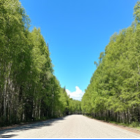 2,000 acres Chena Lake bear hunting land in Cold Bay, Ak images 2