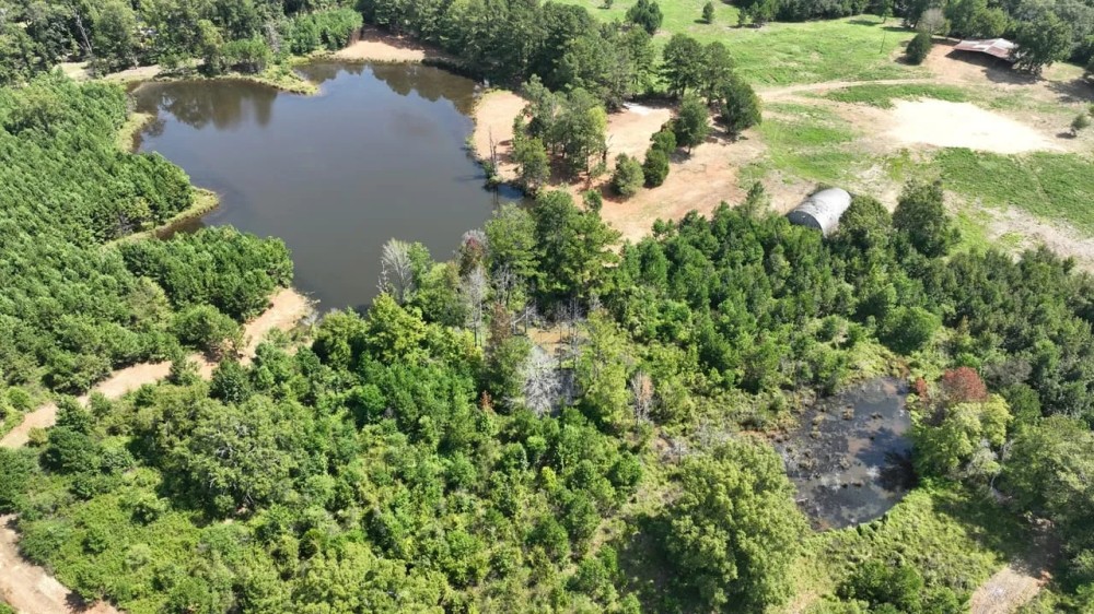 73 Acres in Chilton County featured image