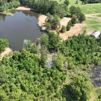73 Acres in Chilton County