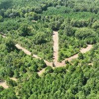 73 Acres in Chilton County images 5