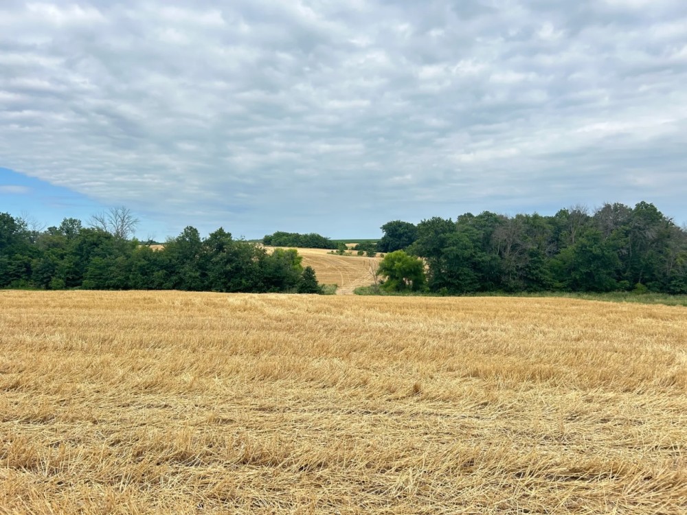 137.9 Acres in Adair County Missouri featured image