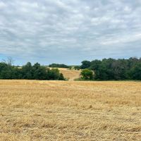 137.9 Acres in Adair County Missouri