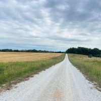 137.9 Acres in Adair County Missouri images 3