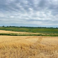 137.9 Acres in Adair County Missouri images 4