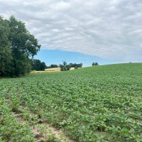 137.9 Acres in Adair County Missouri images 5