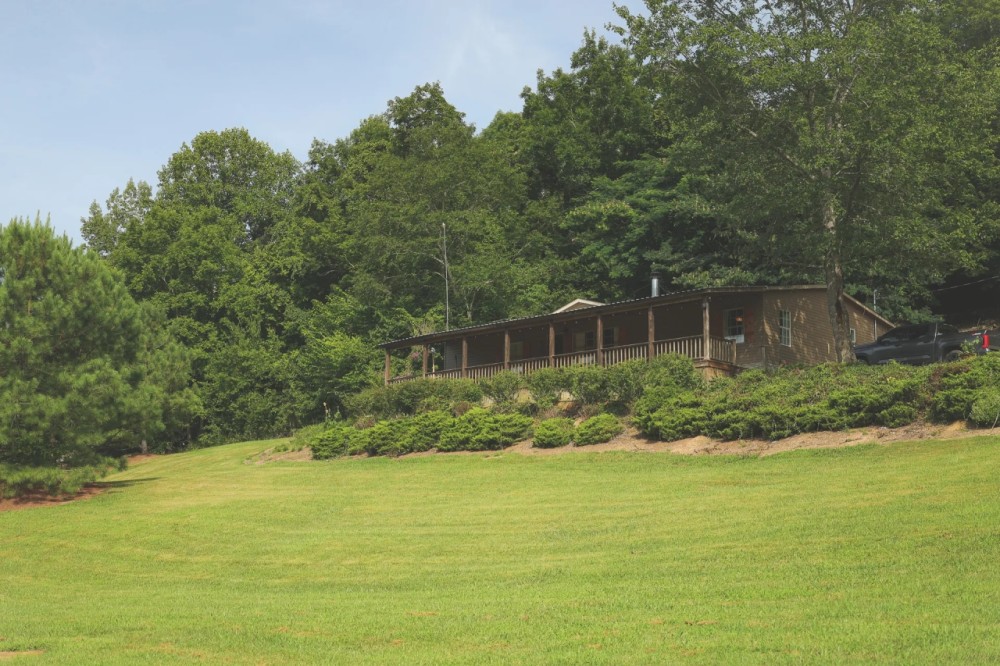 48 Acres with a Home in Wayne County TN featured image
